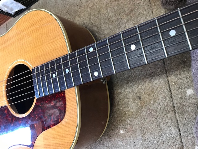Gibson J50